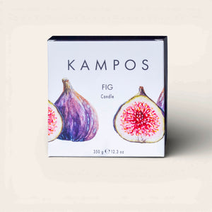 Candle Fig -