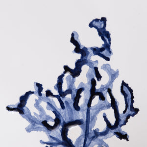 Dinner Plate Coral Blue - Pottery - K A M P O S
