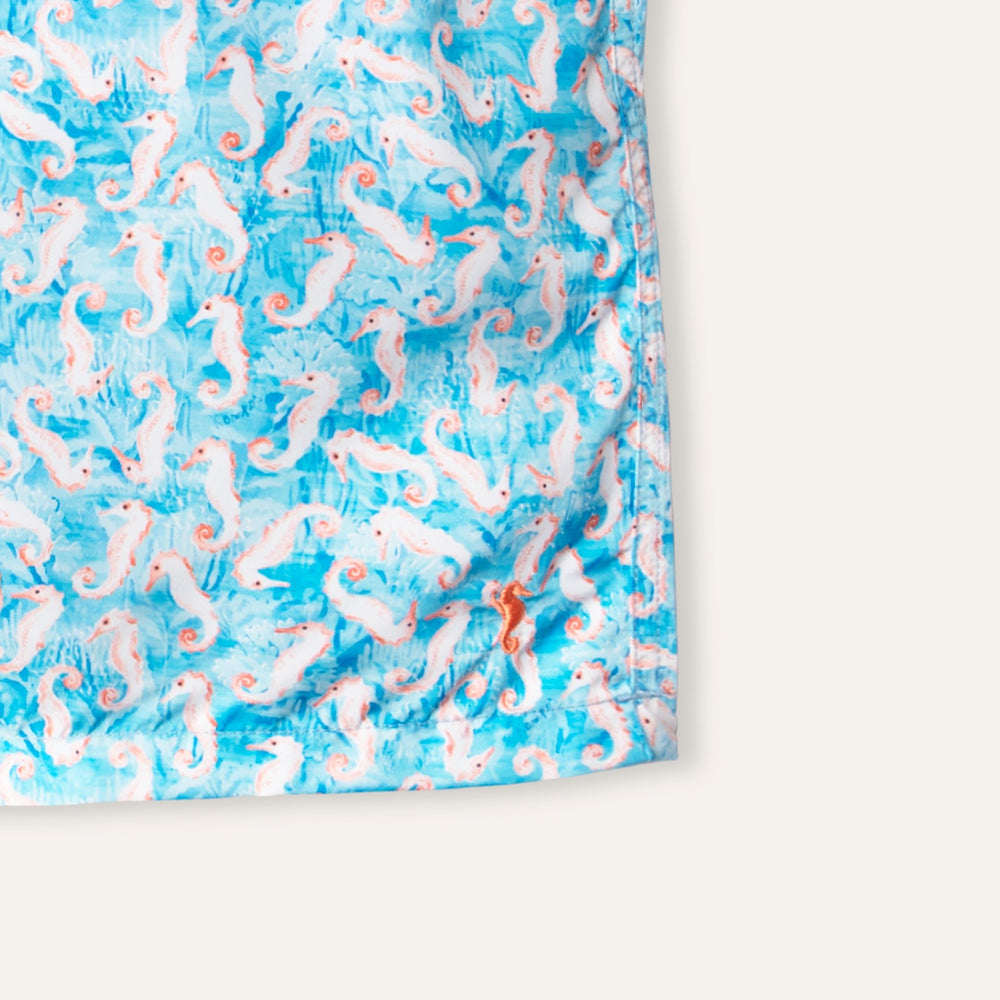 Swim Shorts Long Seahorse Turquoise - Swimshorts_Man - K A M P O S