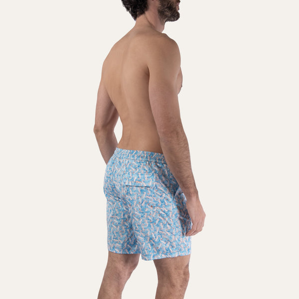 Swim Shorts Long Seahorse Turquoise - Swimshorts_Man - K A M P O S