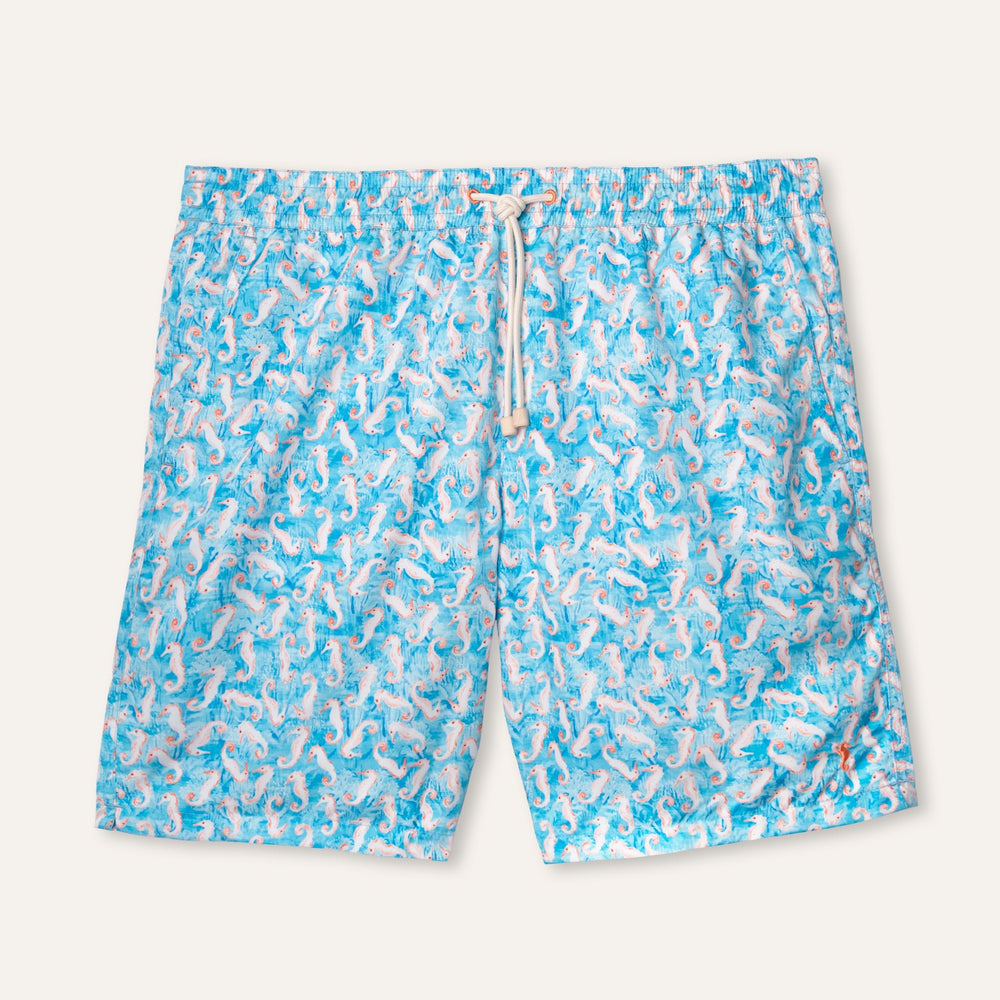 Swim Shorts Long Seahorse Turquoise - Swimshorts_Man - K A M P O S