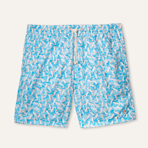 Swim Shorts Long Seahorse Turquoise - Swimshorts_Man - K A M P O S