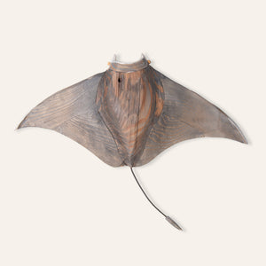 Wooden Ray - Art - K A M P O S