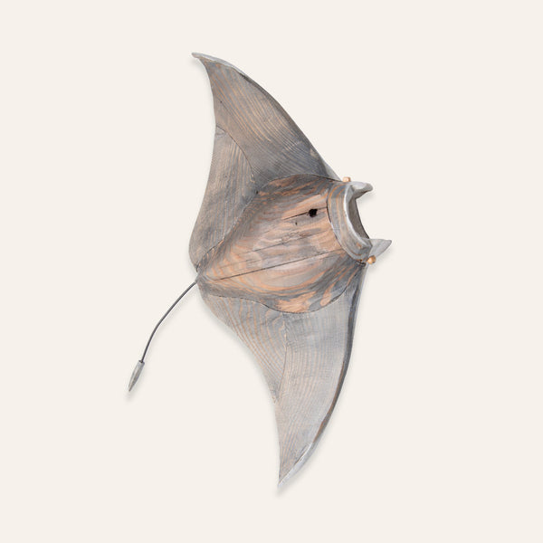 Wooden Ray - Art - K A M P O S