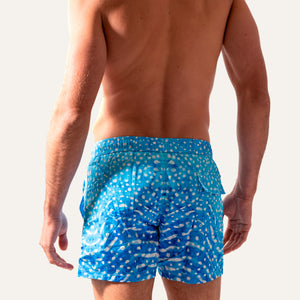 Swim Shorts Whale Shark -